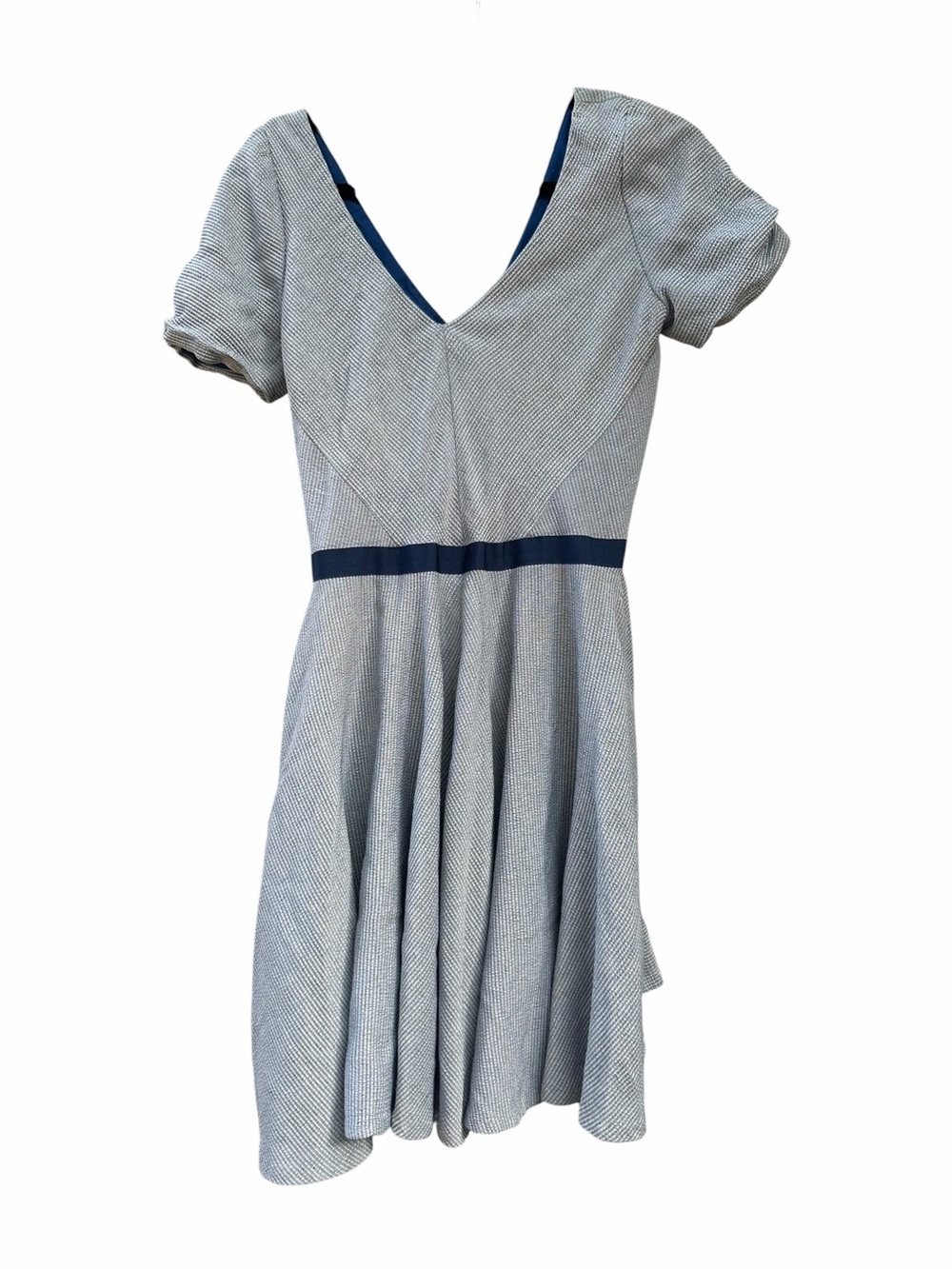 Zac Posen Blue & Navy V-Neck Fit-and-Flare Dress